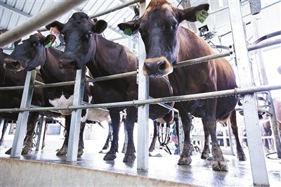 乳制品质量安全三年提升目标确定