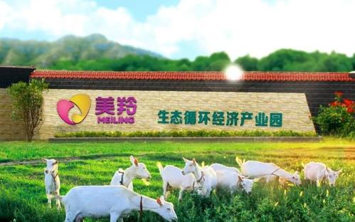 红星美羚婴幼儿配方乳粉屡登质量黑榜