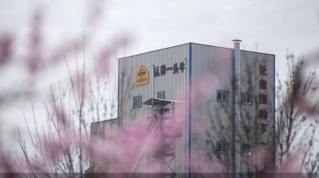 “认养一头牛”的奶源故事还能讲多久 