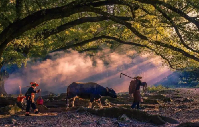 网红景点仙气飘飘，当心遇到“照骗”