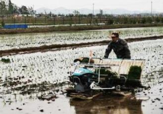 “田园牧歌”云上见：吉林黑土地迎来粮食“订制”潮