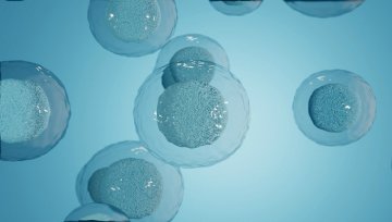 二胎和医美之后，麦迪科技接下来要讲什么故事