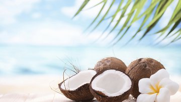 椰子风味饮品大爆发，椰树还坐得住吗？