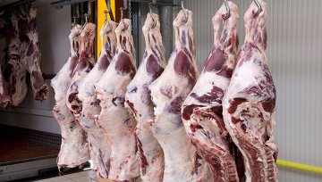 蜜糖变苦果！双汇发展何时能迎来转机？