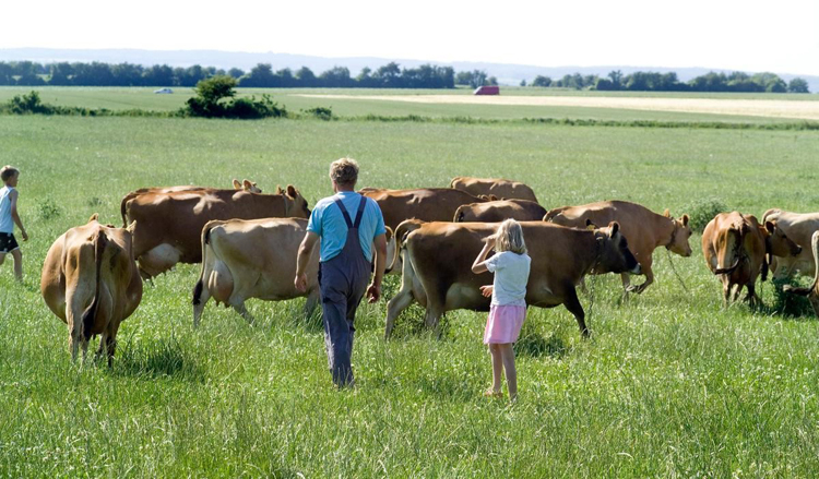 如图片无法显示,请刷新页面