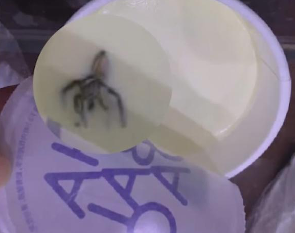 茶百道回应奶茶中喝出蜘蛛