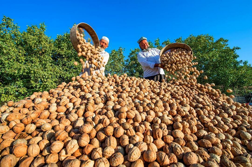 1636618264290302.png 图片1.png