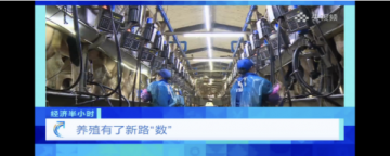 新希望乳业智慧牧场央视亮相 展现数字化养殖新格局