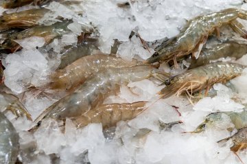 威海又有4家食品生产经营单位被停业整顿