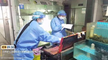 落实疫情防控要求，紧盯冷链食品安全守好“防控门”