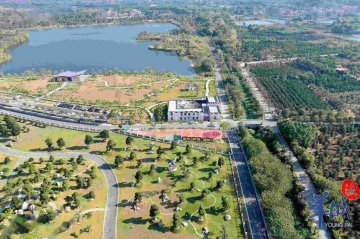 农产品电商：补足发展短板，促进数字乡村高质量发展