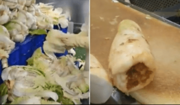 韩媒：知名泡菜制造商被曝使用腐烂白菜