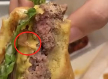 网红汉堡Shake Shack吃出活虫