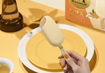 梦龙冰淇淋获“三同”证书，打造冰淇淋行业高质品牌保证