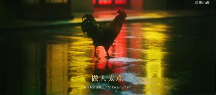 图片来源：网络